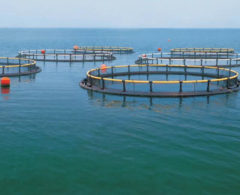 1657267406751850.jpg 養殖1.jpg