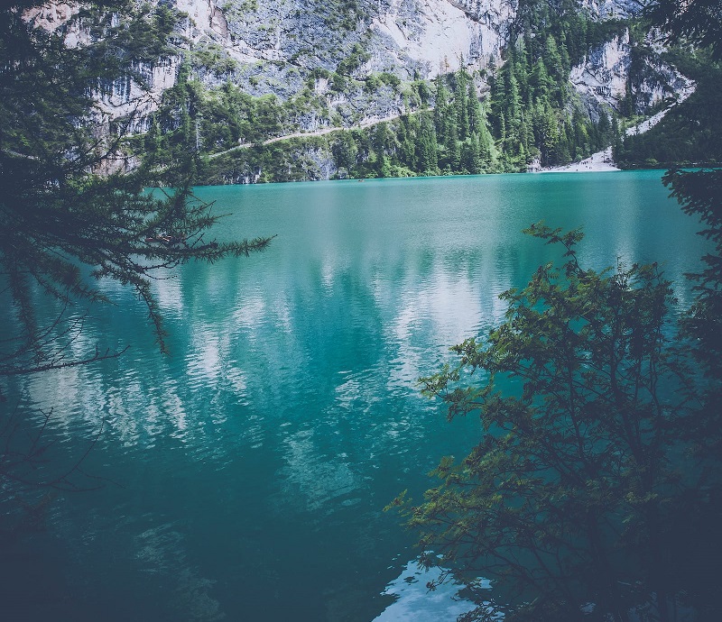 1677218277984950.jpg 80.jpg