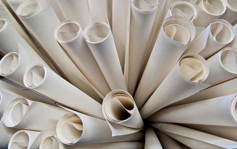 1683698378789192.jpeg 造紙.jpeg