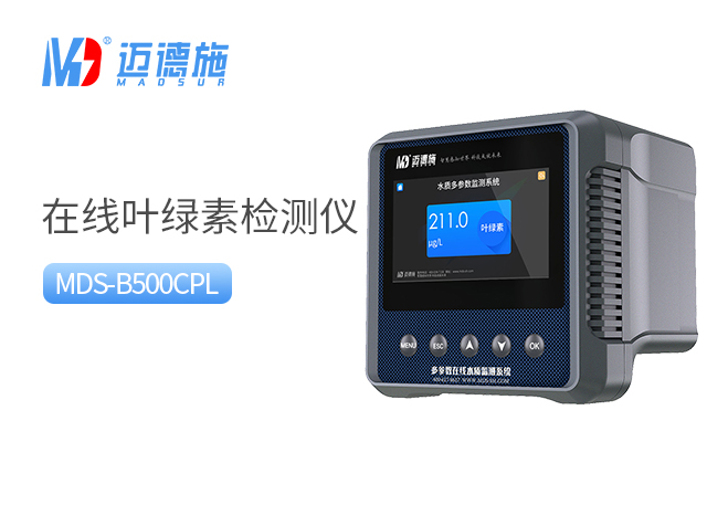 1704952938532009.jpg 葉綠素.jpg