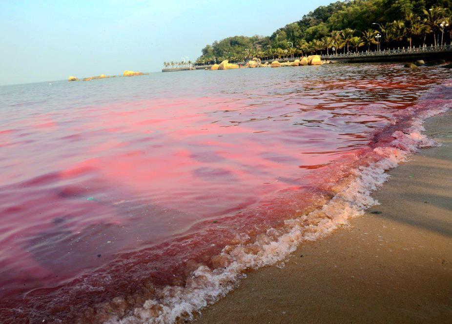 1711689795222654.jpg 1711689795222654.jpg