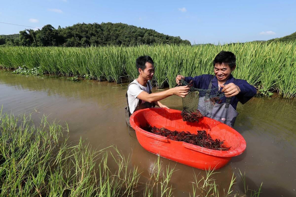 1715138309509201.png 1715138309509201.png