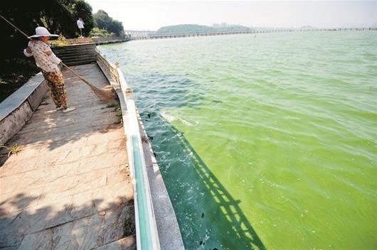 1715311587181860.jpg 湖面暴曬.jpg