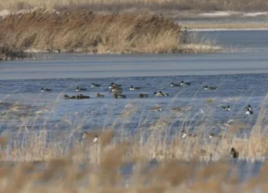 1716174521164300.jpg 1716174521164300.jpg