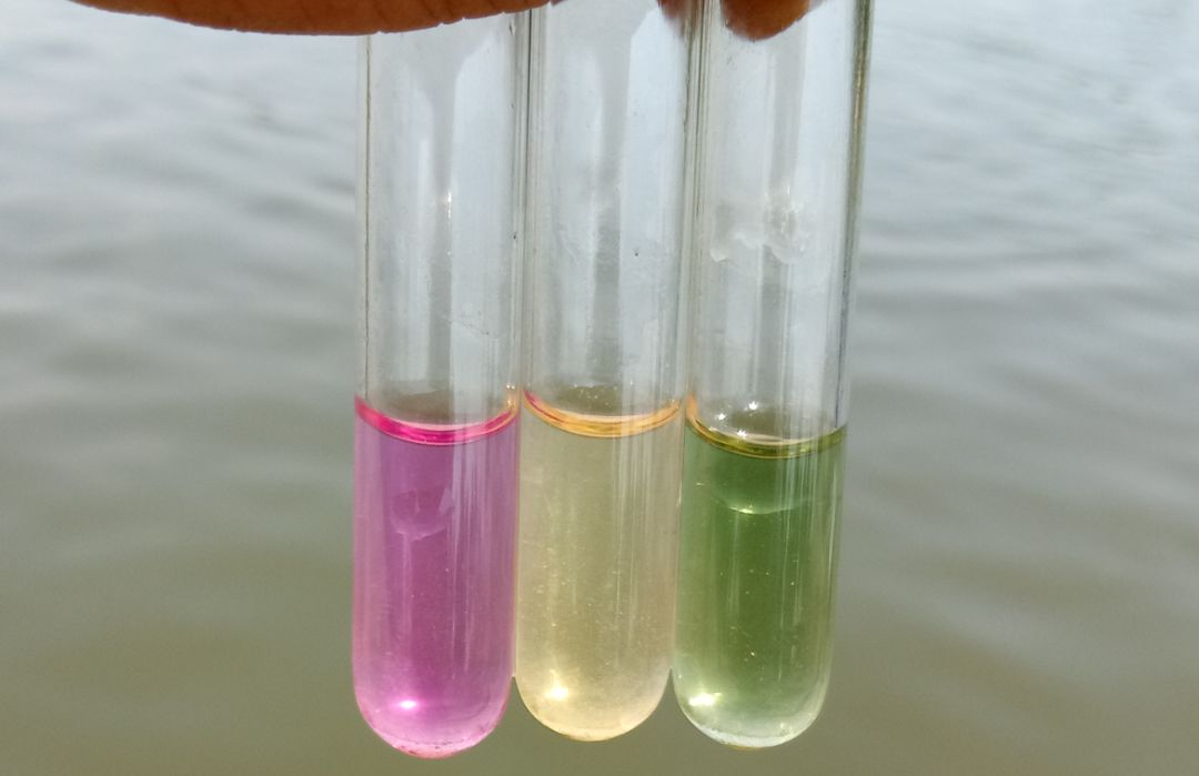 1721289325247668.jpeg 1721289325247668.jpeg