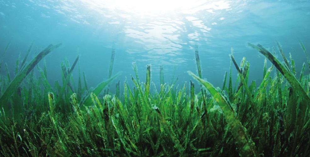 1725677045643320.jpeg 1725677045643320.jpeg