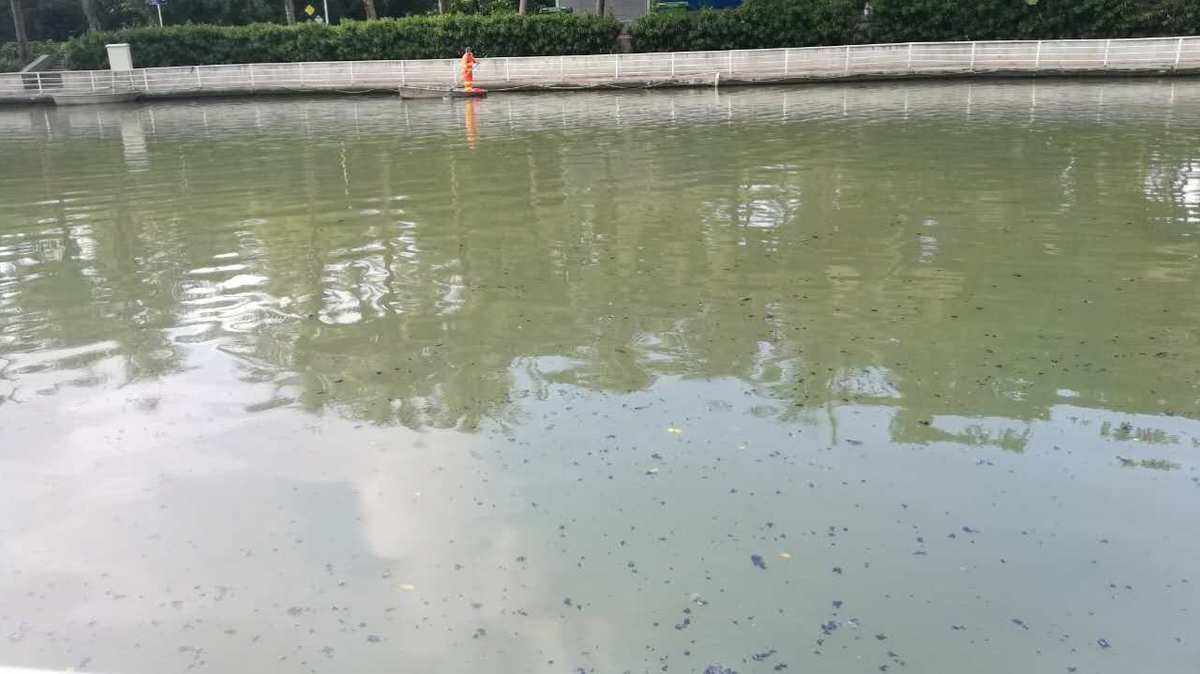 1727330350404450.jpeg 1727330350404450.jpeg