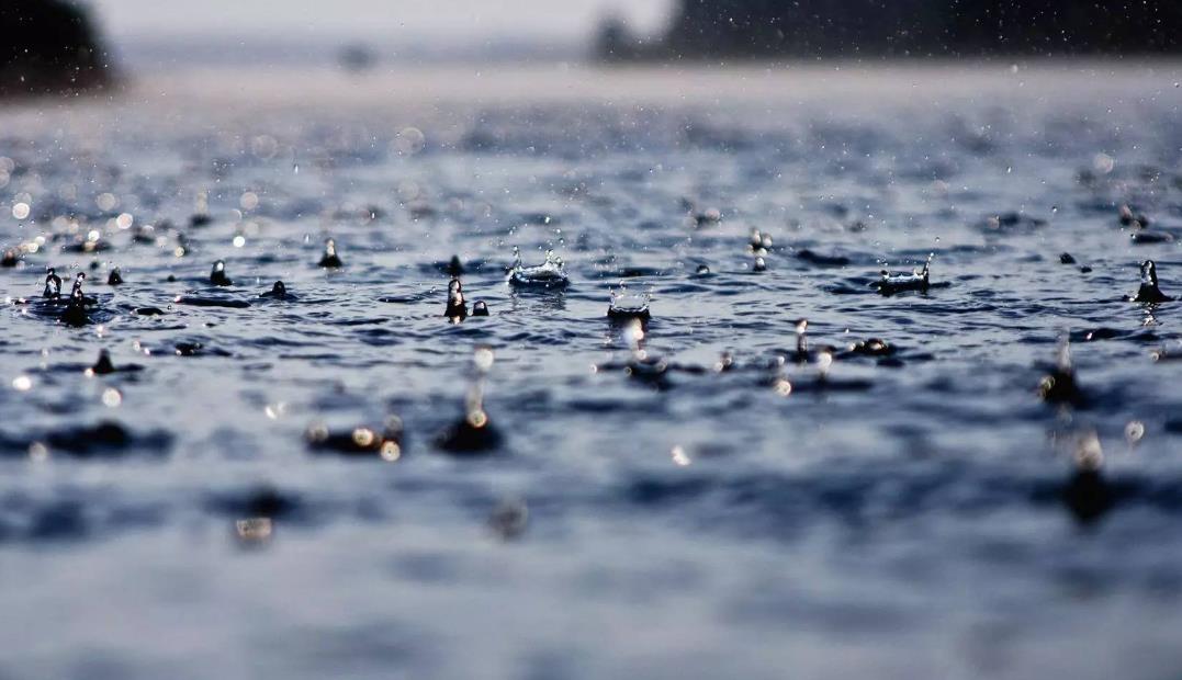 1728453228616965.jpg 1728453228616965.jpg