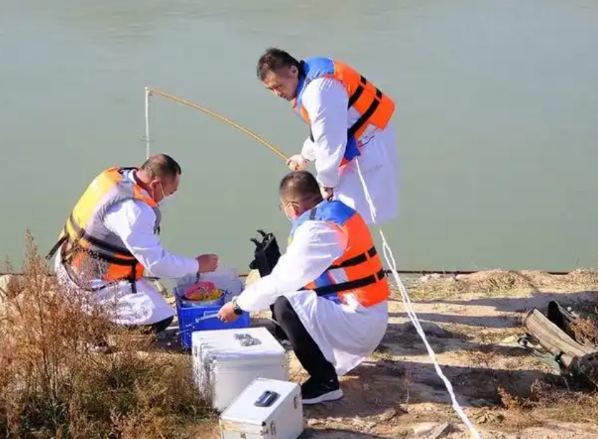 1734499693609482.jpg 1734499693609482.jpg