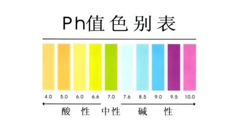 1737007294472705.jpg ph2.jpg