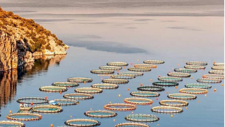 1741919590303244.jpeg 1741919590303244.jpeg