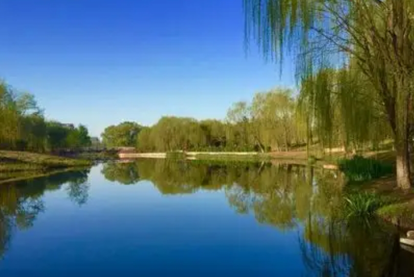 1742784356981293.jpg 1742784356981293.jpg