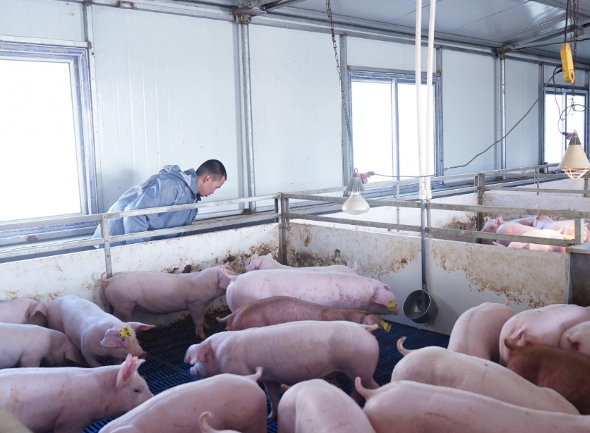 1756691928884203.jpg 1756691928884203.jpg