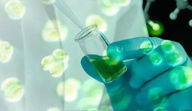 1758263045100244.jpg 微藻制藥.jpg