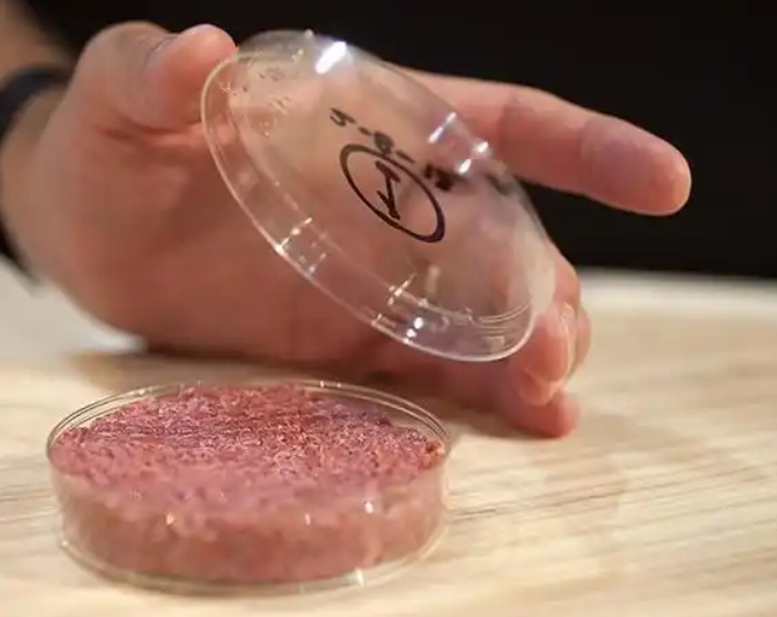 1758510107304181.jpg 人造肉.jpg