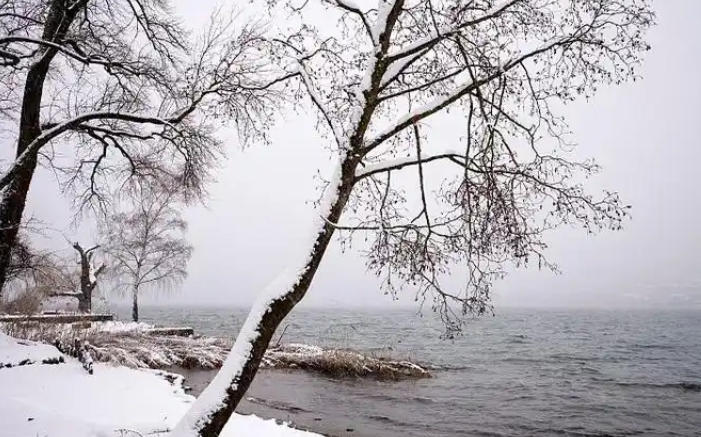 1767750263710707.jpg 下雪 .jpg