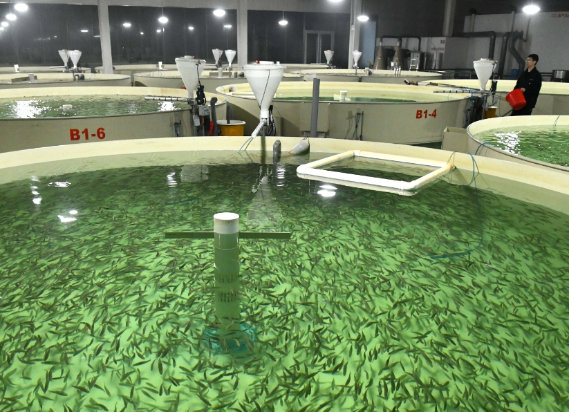 1772675185654085.png 水產育苗.png