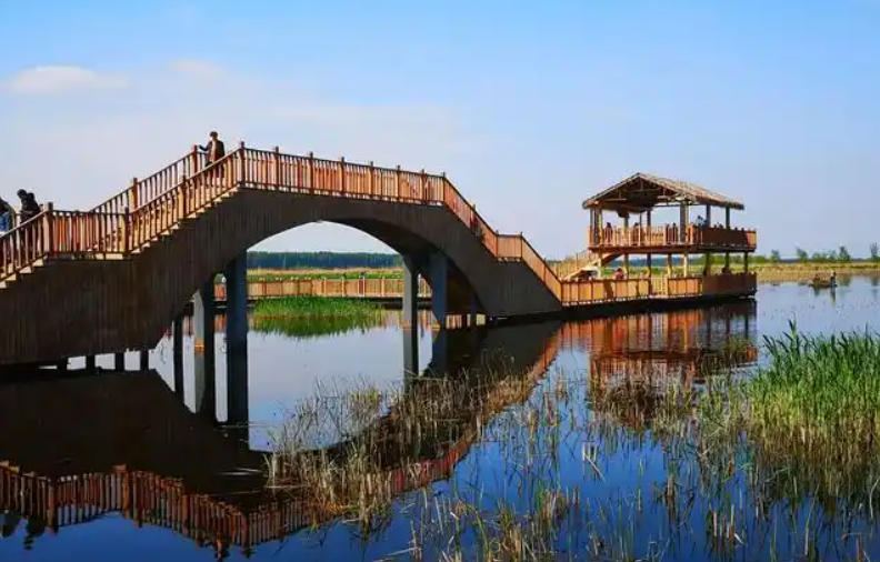 1776144475528271.jpg 濕地公園.jpg